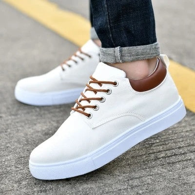 Mens canvas sport shoes