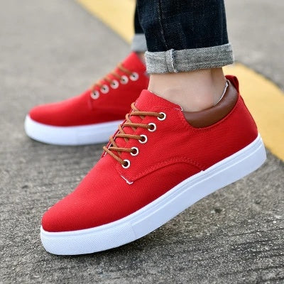 Mens canvas sport shoes