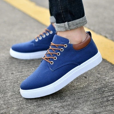 Mens canvas sport shoes